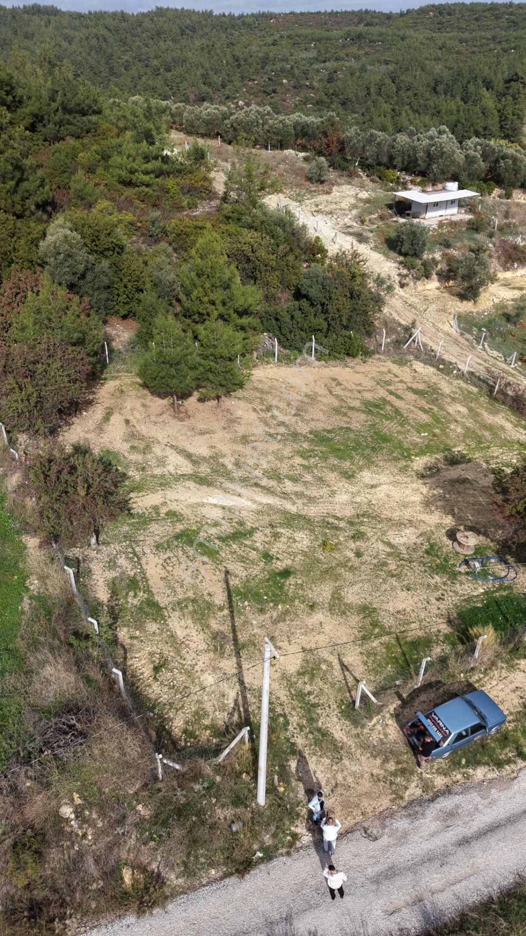 İzmir Çatalcada Satılık Tektapu 1.005 M2 Köye Yakın Elektrik Sulu Çevrili Bahçe - Görsel 15