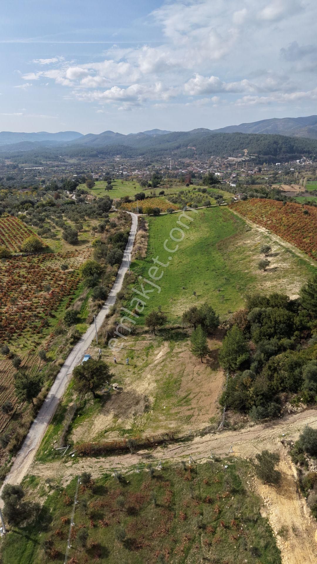 İzmir Çatalcada Satılık Tektapu 1.005 M2 Köye Yakın Elektrik Sulu Çevrili Bahçe - Görsel 17