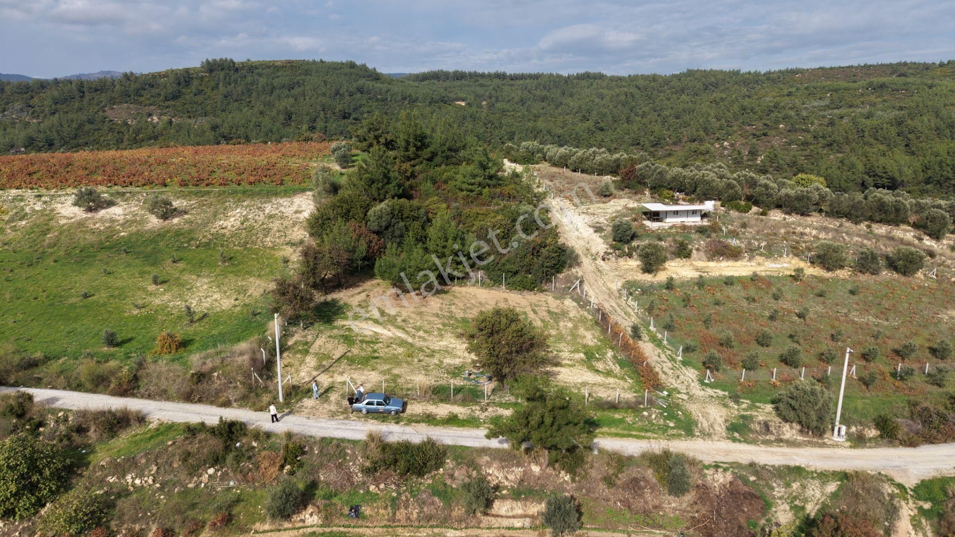 İzmir Çatalcada Satılık Tektapu 1.005 M2 Köye Yakın Elektrik Sulu Çevrili Bahçe - Görsel 12