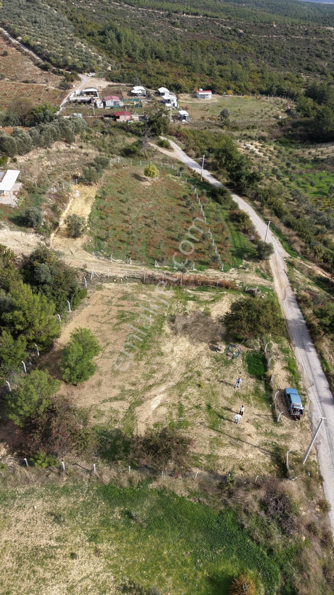 İzmir Çatalcada Satılık Tektapu 1.005 M2 Köye Yakın Elektrik Sulu Çevrili Bahçe - Görsel 23