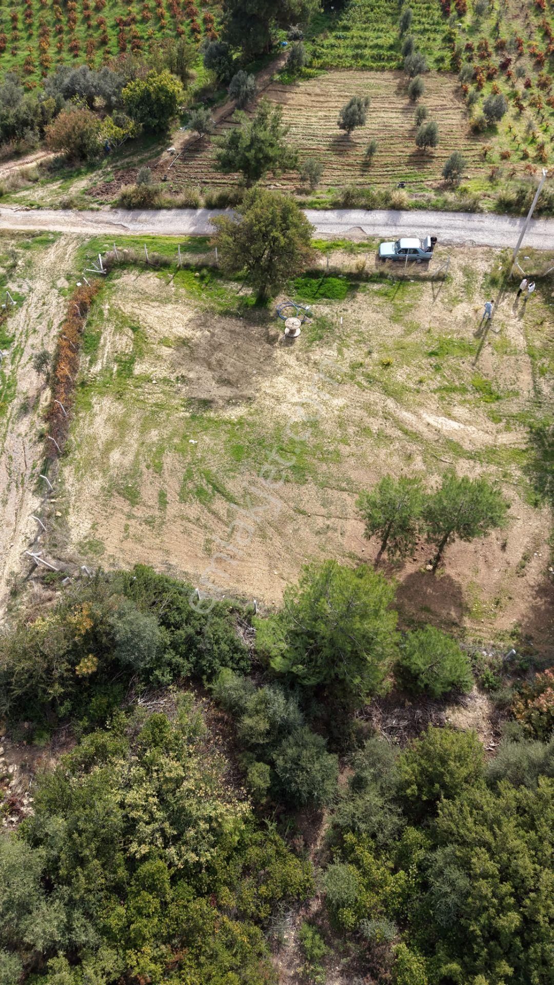 İzmir Çatalcada Satılık Tektapu 1.005 M2 Köye Yakın Elektrik Sulu Çevrili Bahçe - Görsel 16