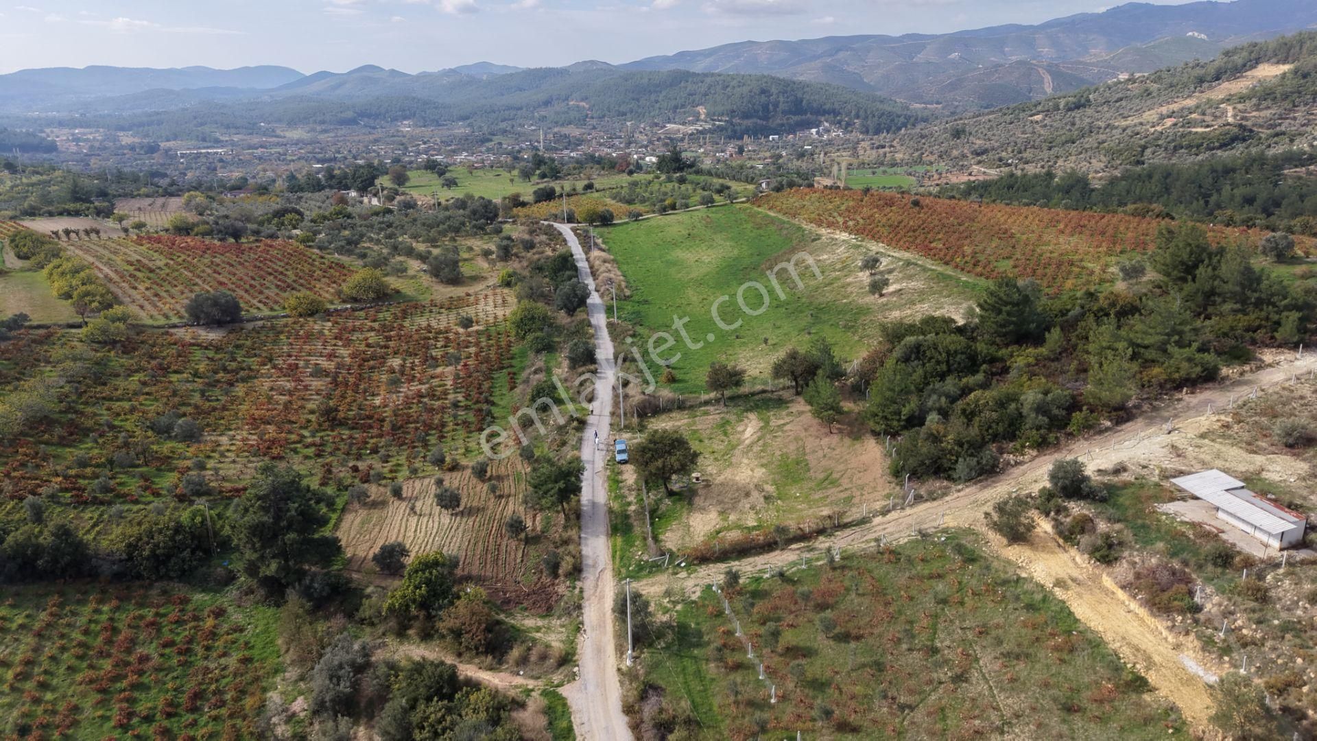 İzmir Çatalcada Satılık Tektapu 1.005 M2 Köye Yakın Elektrik Sulu Çevrili Bahçe - Görsel 8