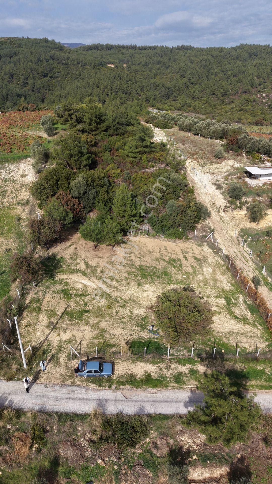 İzmir Çatalcada Satılık Tektapu 1.005 M2 Köye Yakın Elektrik Sulu Çevrili Bahçe - Görsel 14