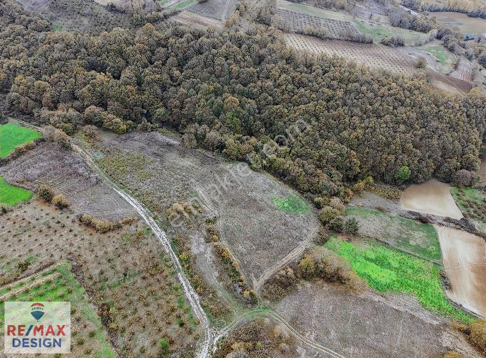 Kaynarca Şeyhtimarı Gökçeler Mahallesi'nde 8600 M2 Satılık Tarla - Görsel 8