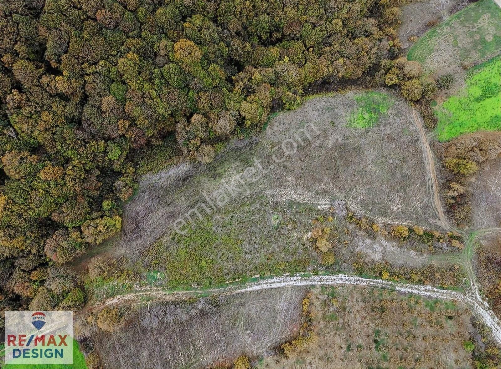 Kaynarca Şeyhtimarı Gökçeler Mahallesi'nde 8600 M2 Satılık Tarla - Görsel 5