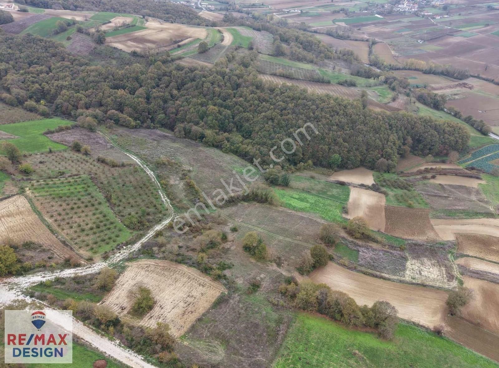 Kaynarca Şeyhtimarı Gökçeler Mahallesi'nde 8600 M2 Satılık Tarla - Görsel 2