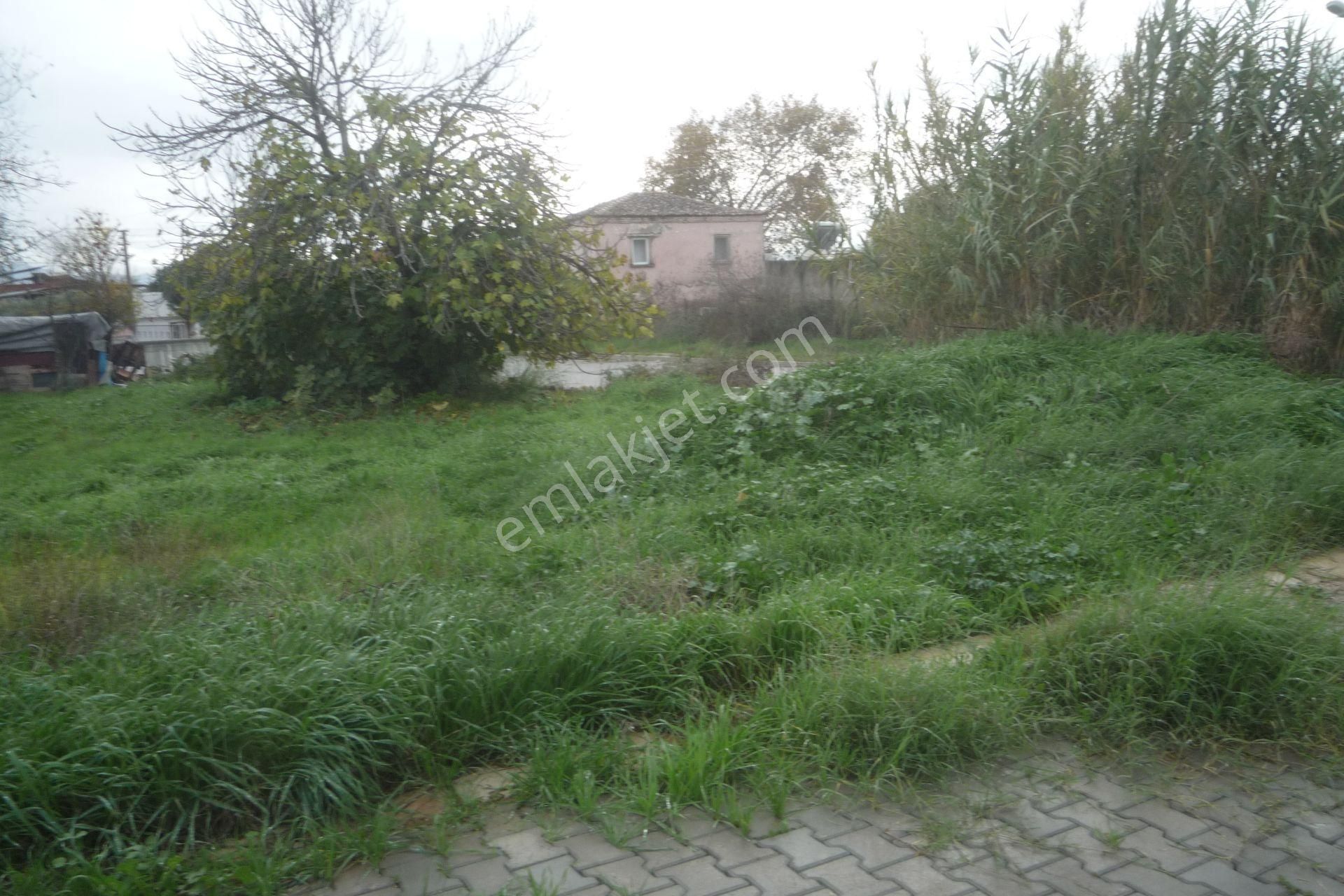 İzmir Torbalı Gold Emlaktan Çırpıda Satılık Konut İmarlı Arsa - Görsel 3