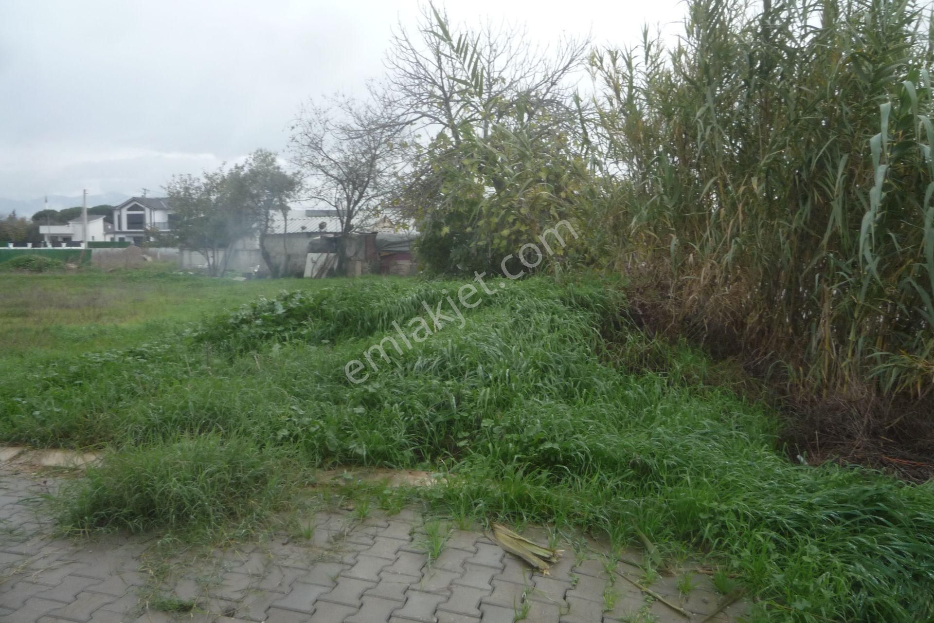 İzmir Torbalı Gold Emlaktan Çırpıda Satılık Konut İmarlı Arsa - Görsel 4