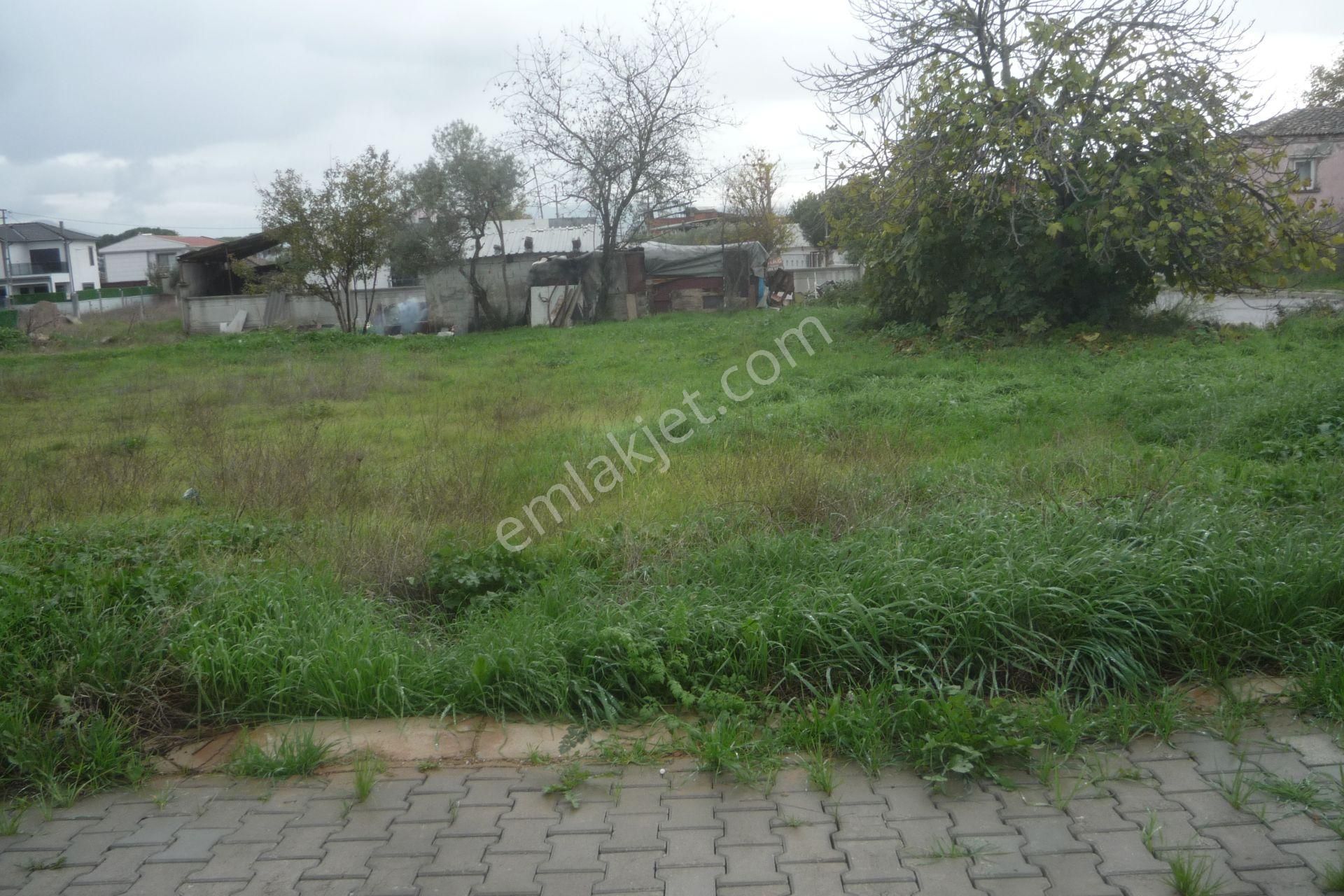 İzmir Torbalı Gold Emlaktan Çırpıda Satılık Konut İmarlı Arsa - Görsel 8