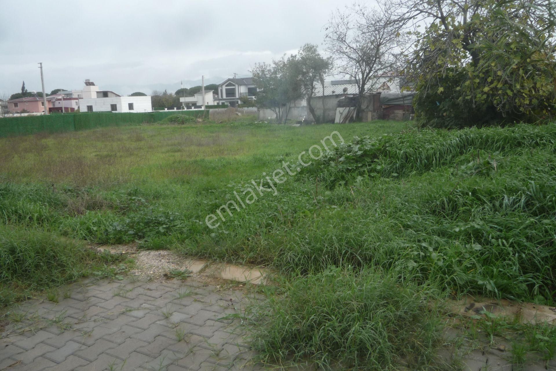 İzmir Torbalı Gold Emlaktan Çırpıda Satılık Konut İmarlı Arsa - Görsel 5