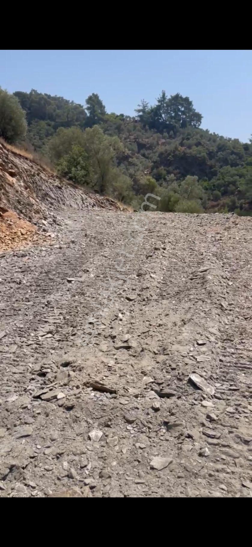 Bayındır Sarıyurt Köyünde 4.540 M2 Konteyner Koymaya Uygun - Görsel 9