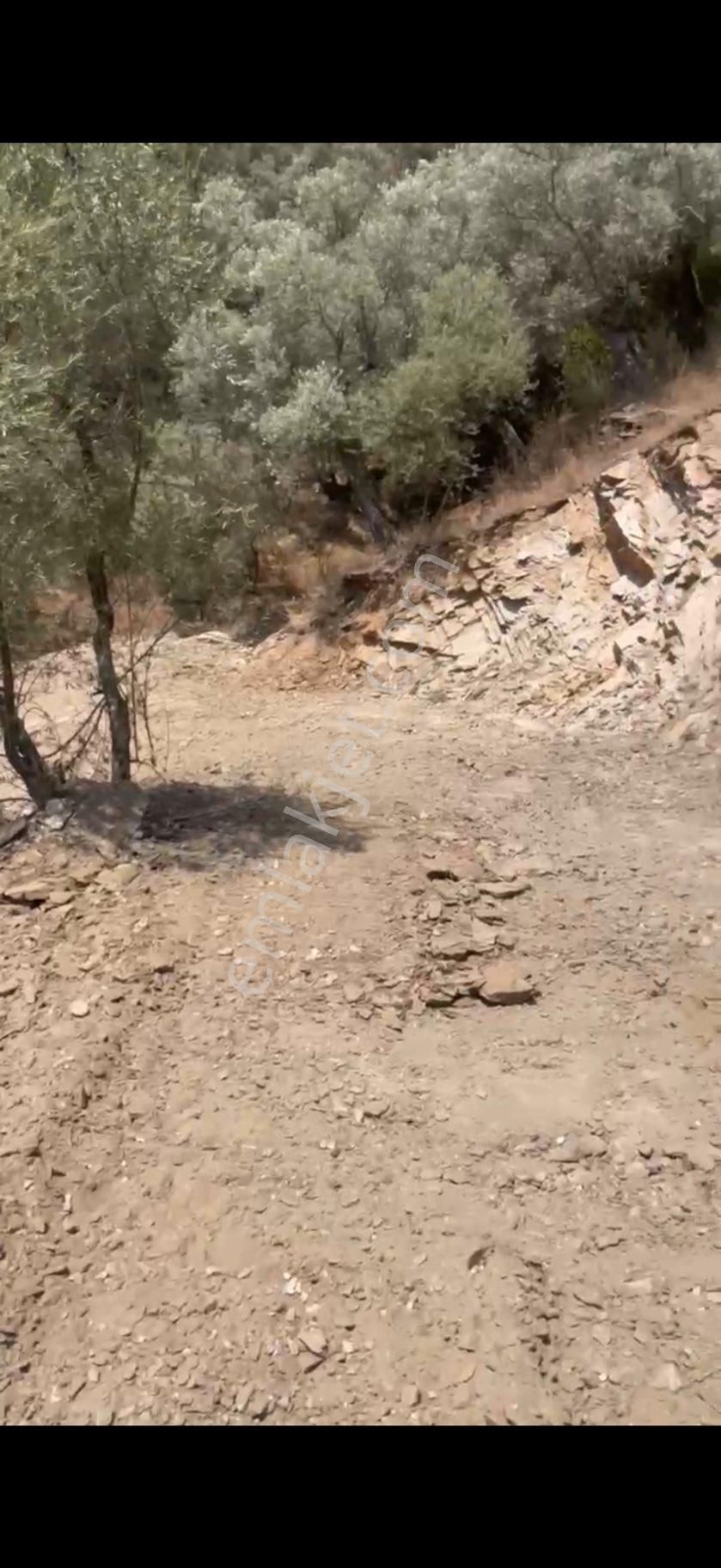 Bayındır Sarıyurt Köyünde 4.540 M2 Konteyner Koymaya Uygun - Görsel 2