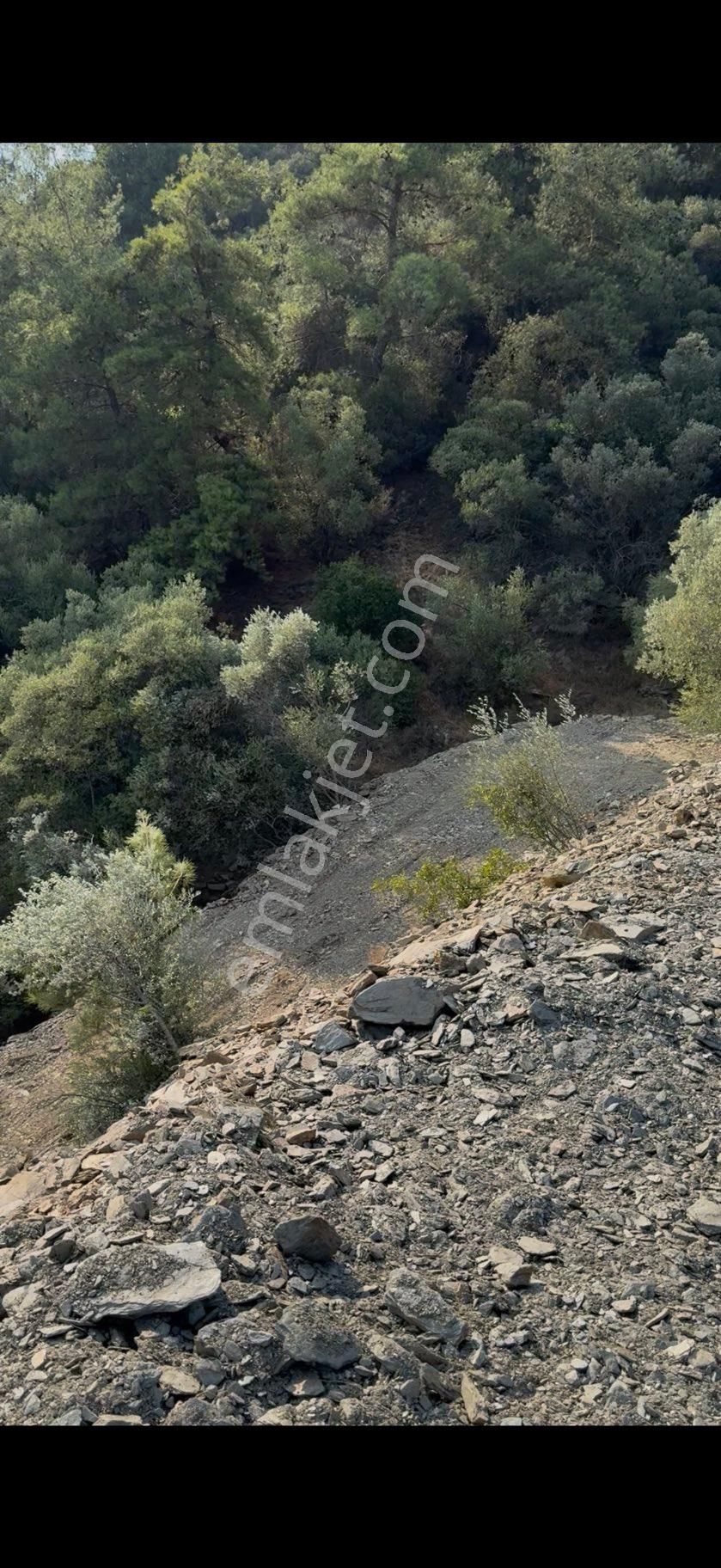 Bayındır Sarıyurt Köyünde 4.540 M2 Konteyner Koymaya Uygun - Görsel 10