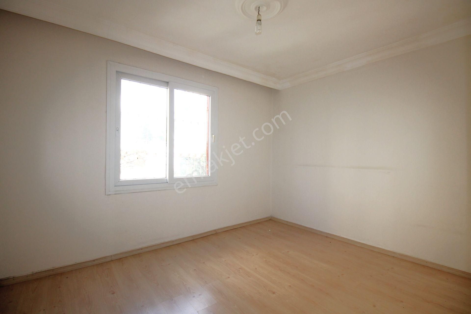 investment listing 13