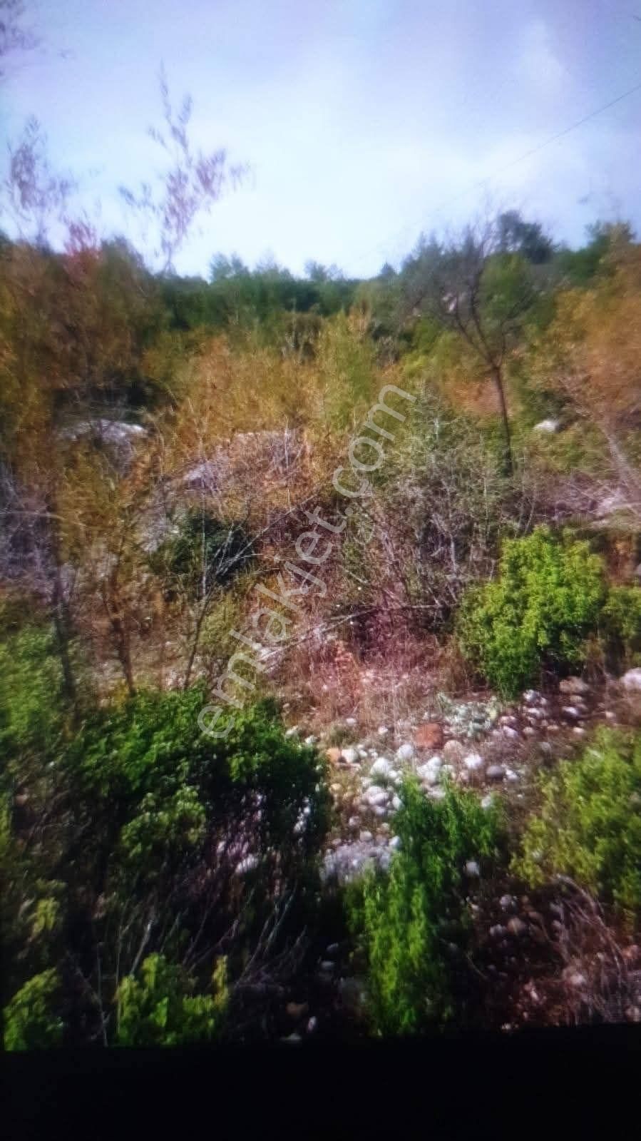 ✅alanya ✅orhan Köy ✅satılık 9.419m2 Tarla - Görsel 7