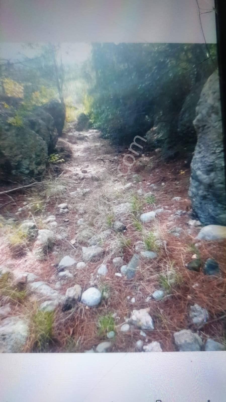 ✅alanya ✅orhan Köy ✅satılık 9.419m2 Tarla - Görsel 4