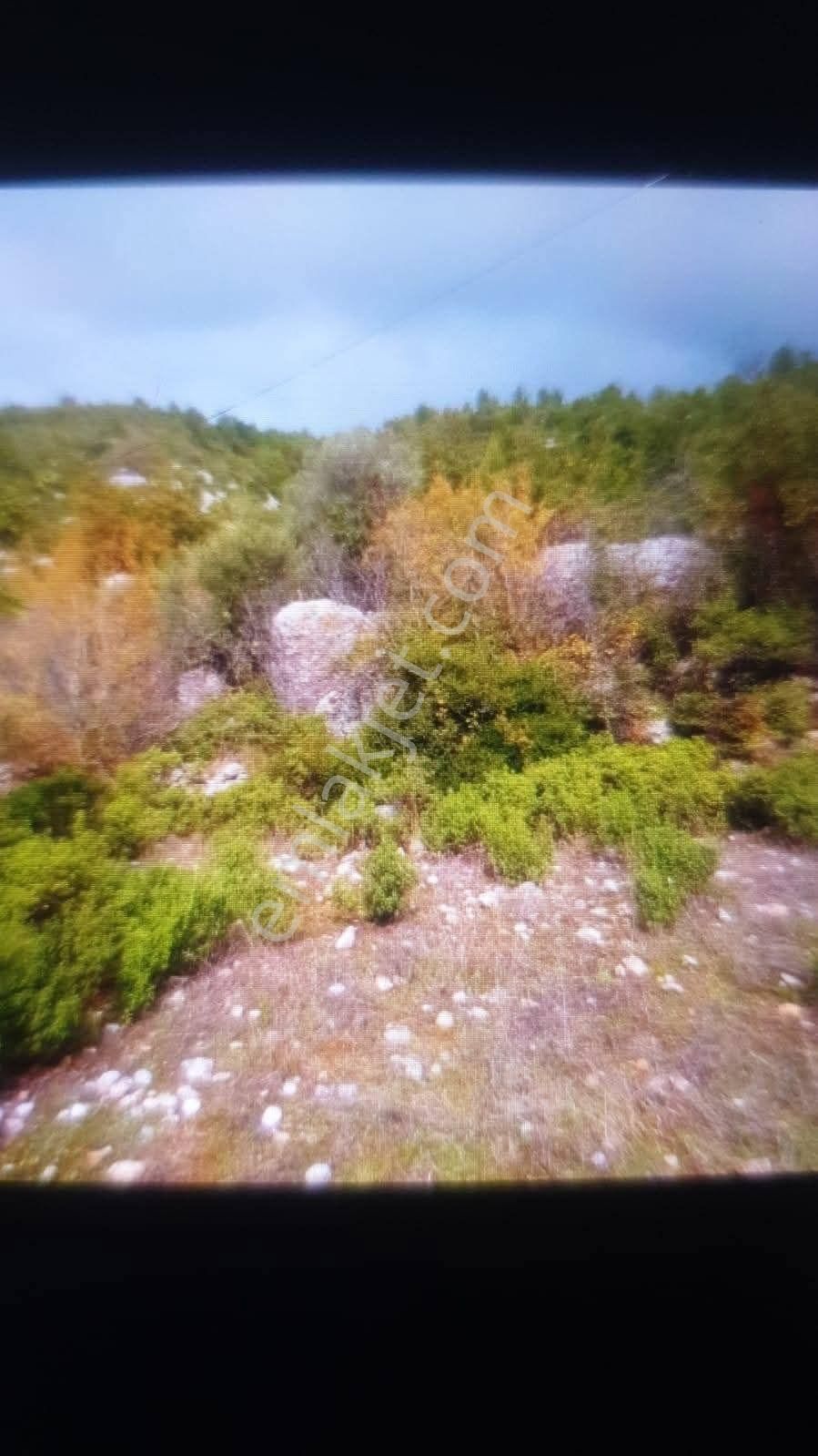 ✅alanya ✅orhan Köy ✅satılık 9.419m2 Tarla - Görsel 2