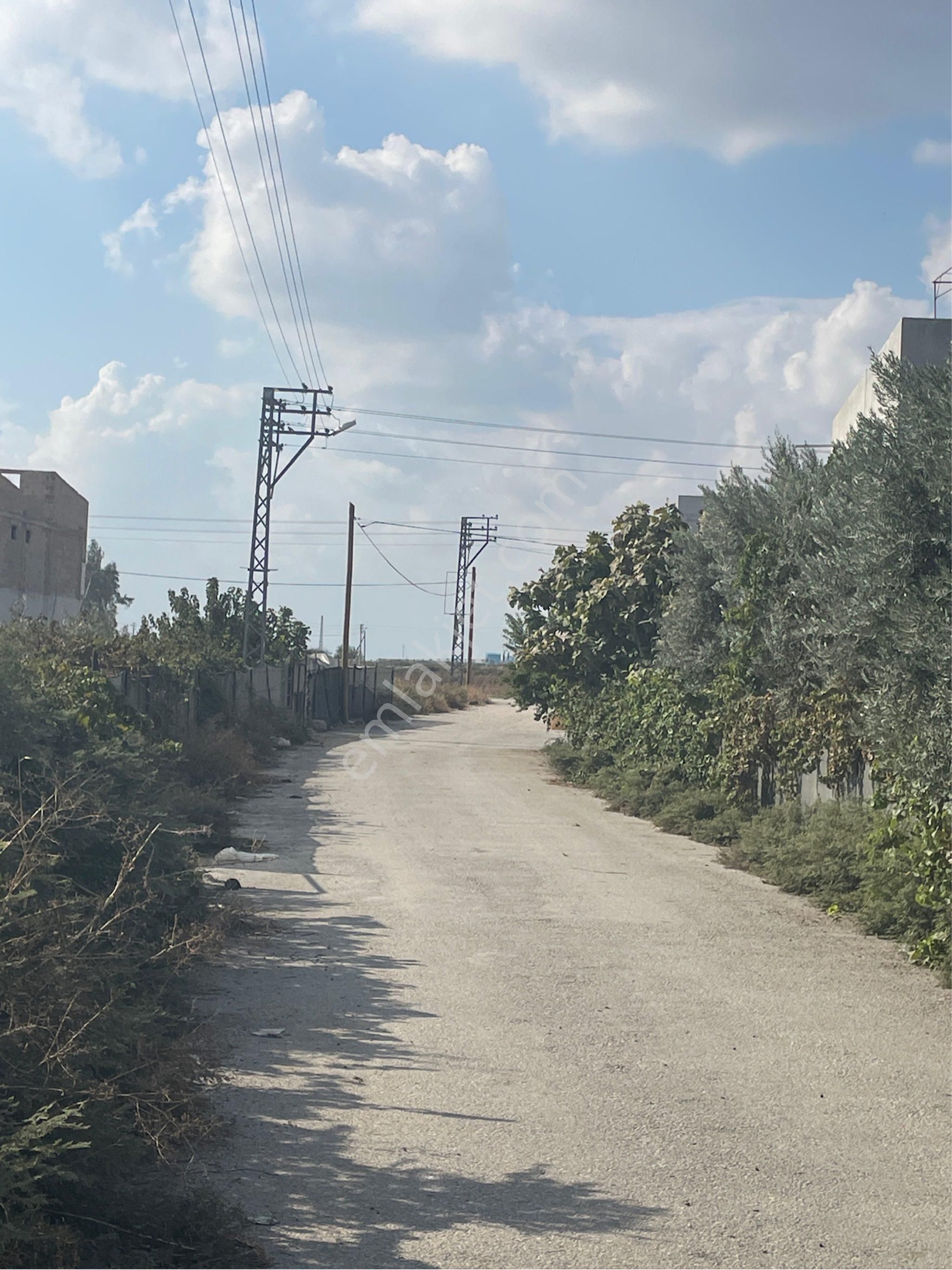 Adana Seyhan Küçükdikili Kavaklı Mh 400 Mt Arsa Zeytin Bahçesi Etrafı Cevrili Satılıktır - Görsel 4