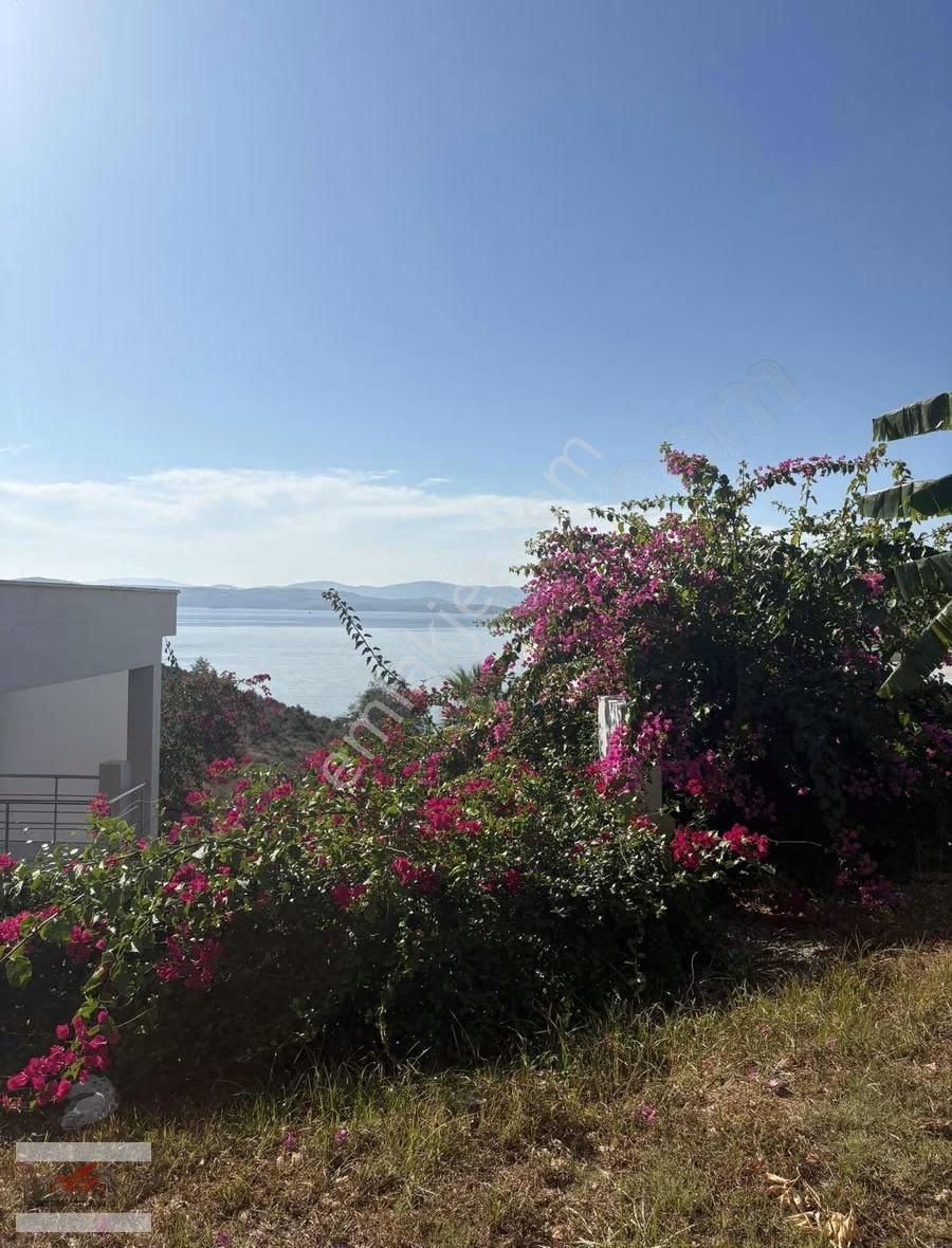 Kıyıkışlacık Zeytinlikuyu Denize Sıfır İassos Beach Clubda - Görsel 17