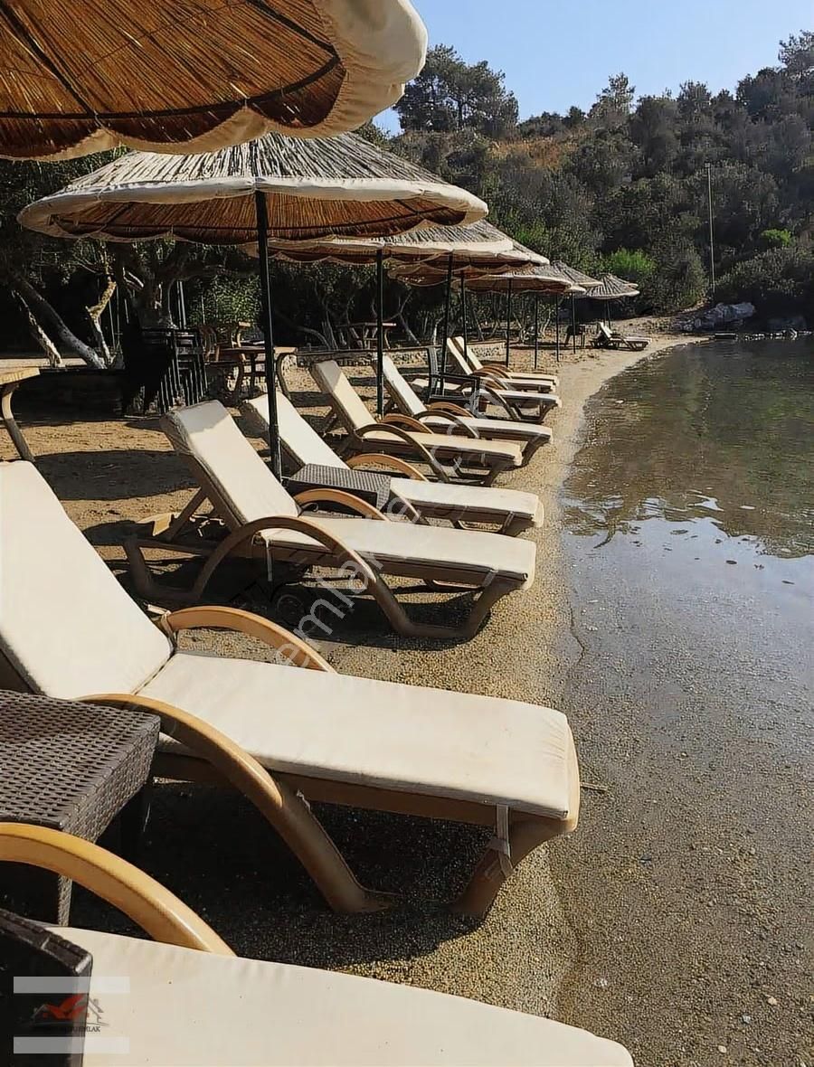 Kıyıkışlacık Zeytinlikuyu Denize Sıfır İassos Beach Clubda - Görsel 29