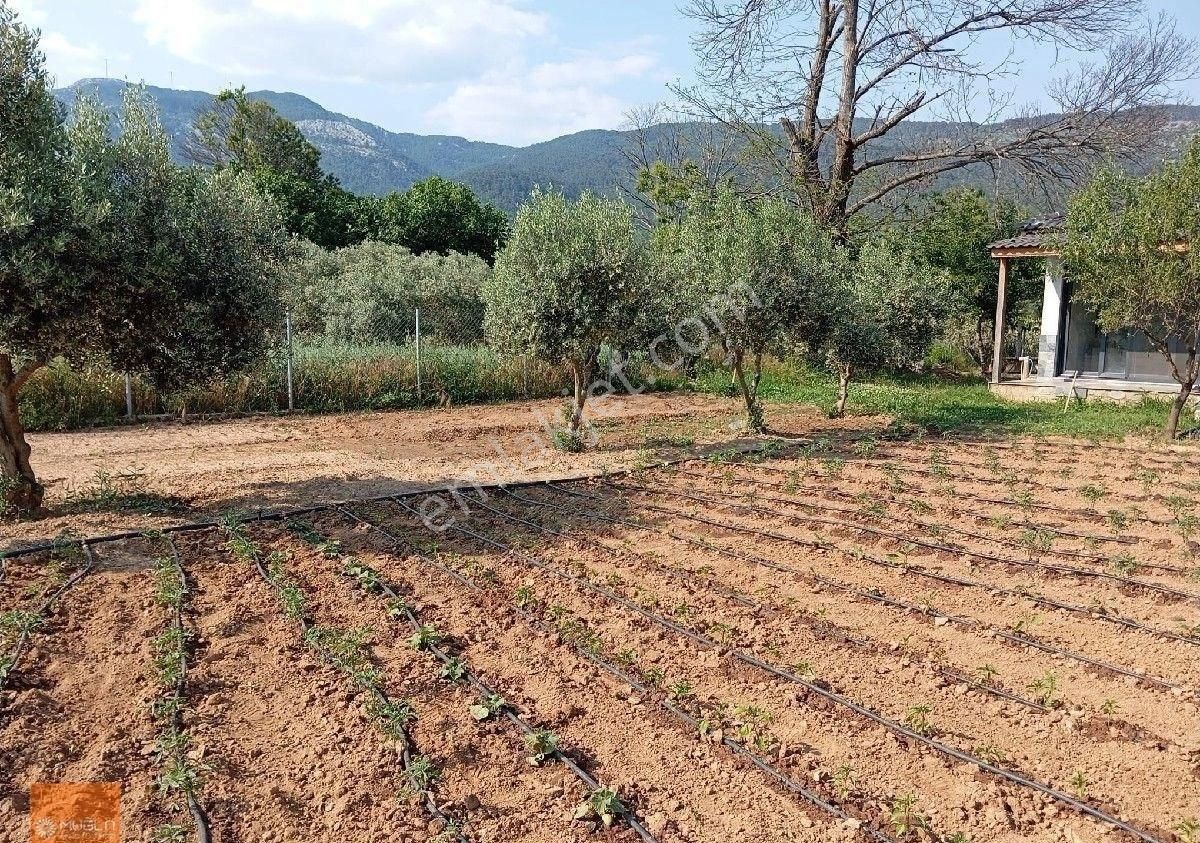Yaraş Satılık Ev Ve Arazi - Görsel 18