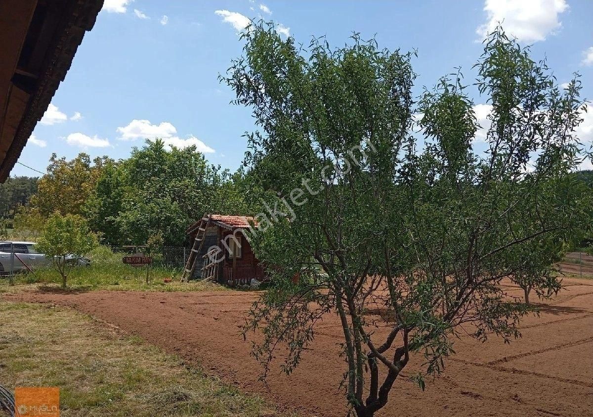Yaraş Satılık Ev Ve Arazi - Görsel 33