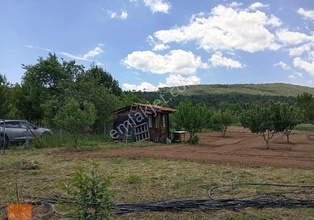 Yaraş Satılık Ev Ve Arazi - Görsel 11