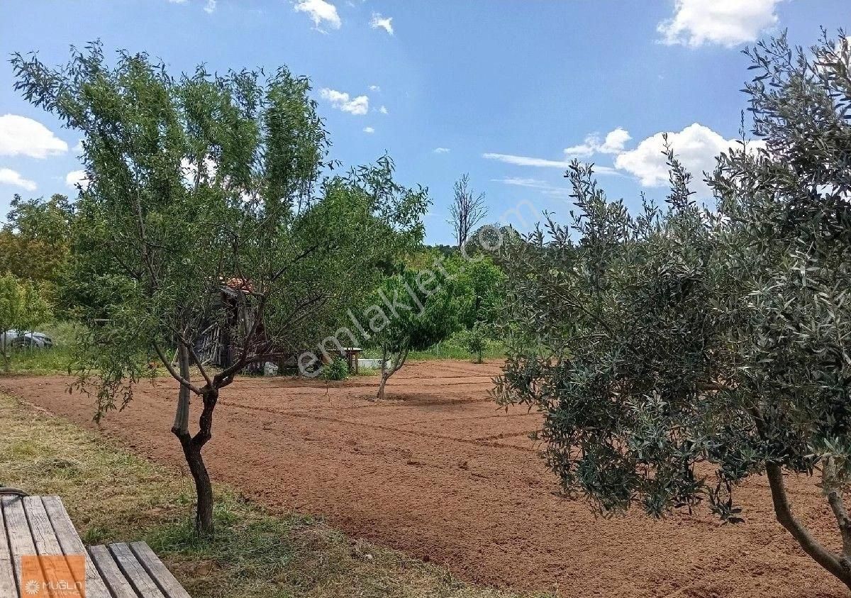 Yaraş Satılık Ev Ve Arazi - Görsel 12