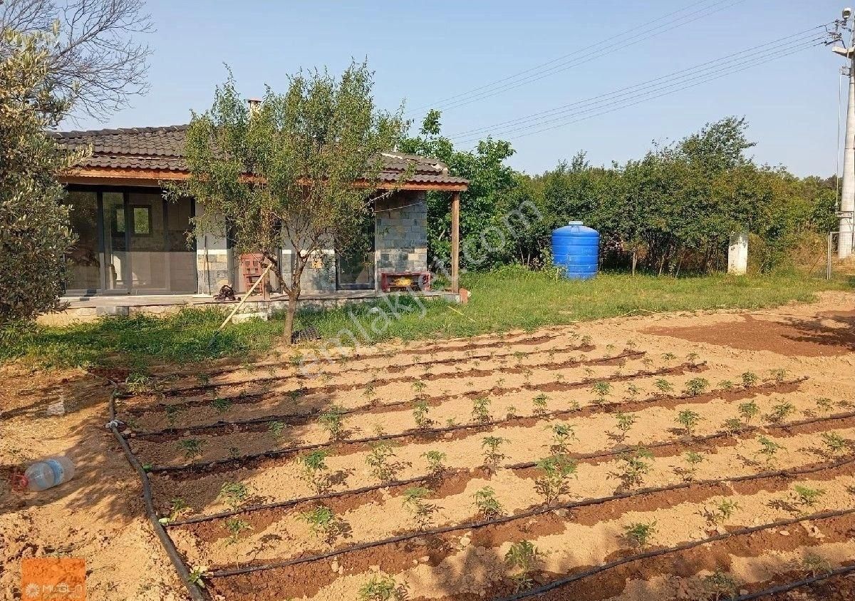 Yaraş Satılık Ev Ve Arazi - Görsel 17