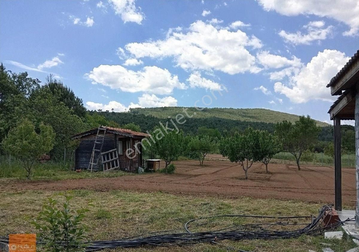 Yaraş Satılık Ev Ve Arazi - Görsel 2
