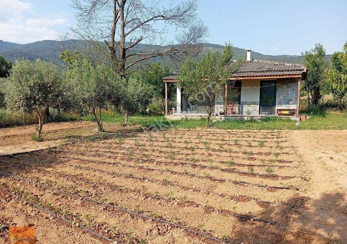 Yaraş Satılık Ev Ve Arazi - Görsel 19