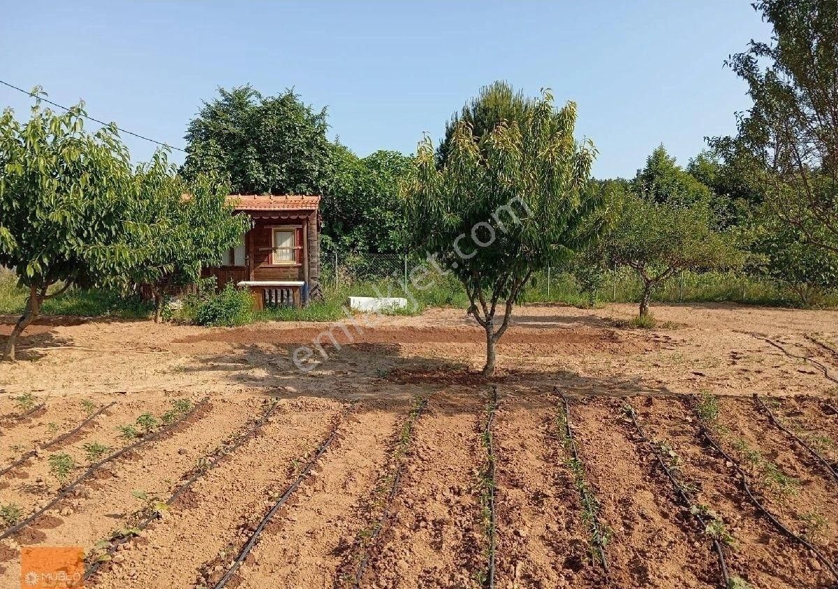 Yaraş Satılık Ev Ve Arazi - Görsel 26