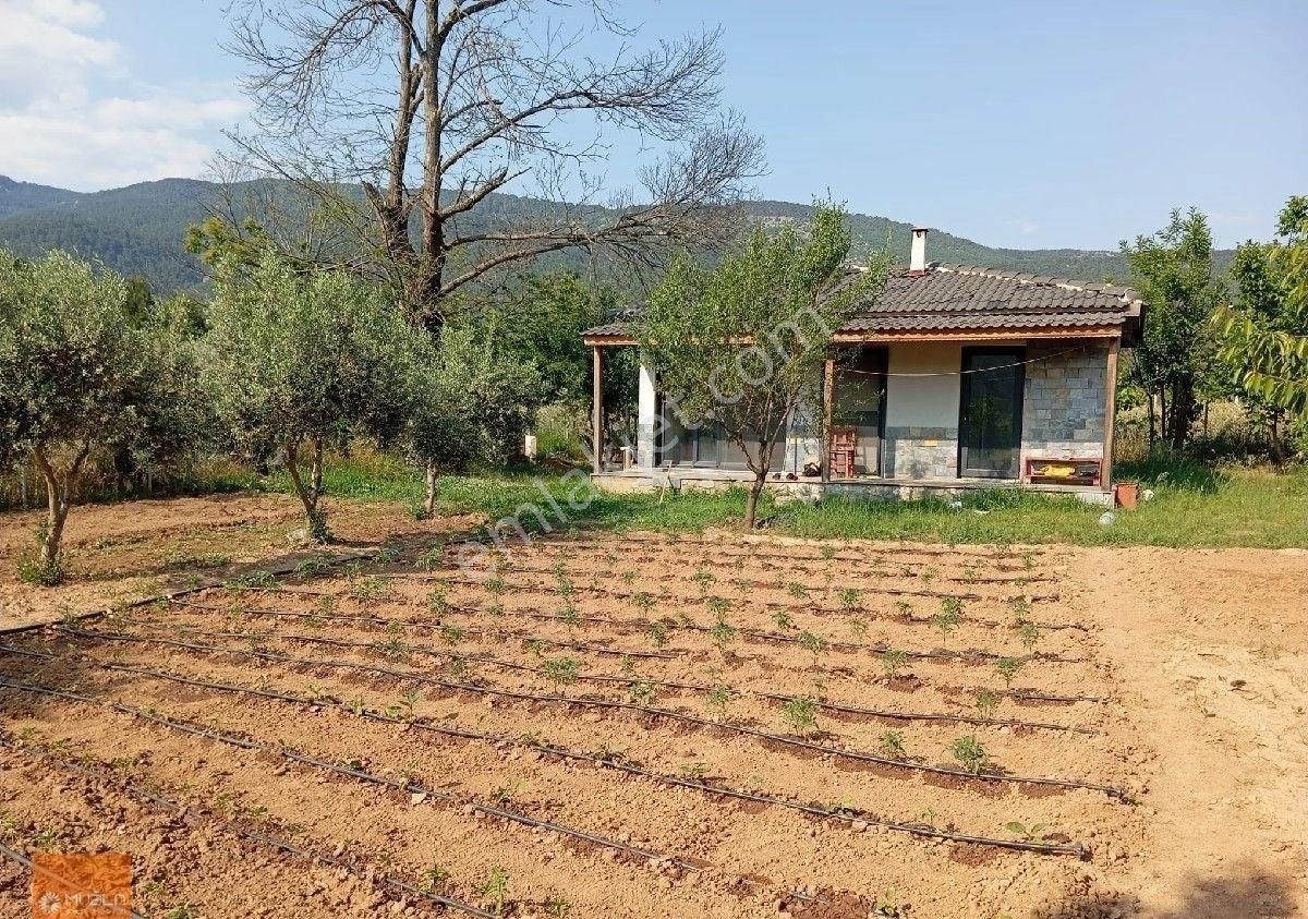 Yaraş Satılık Ev Ve Arazi - Görsel 3