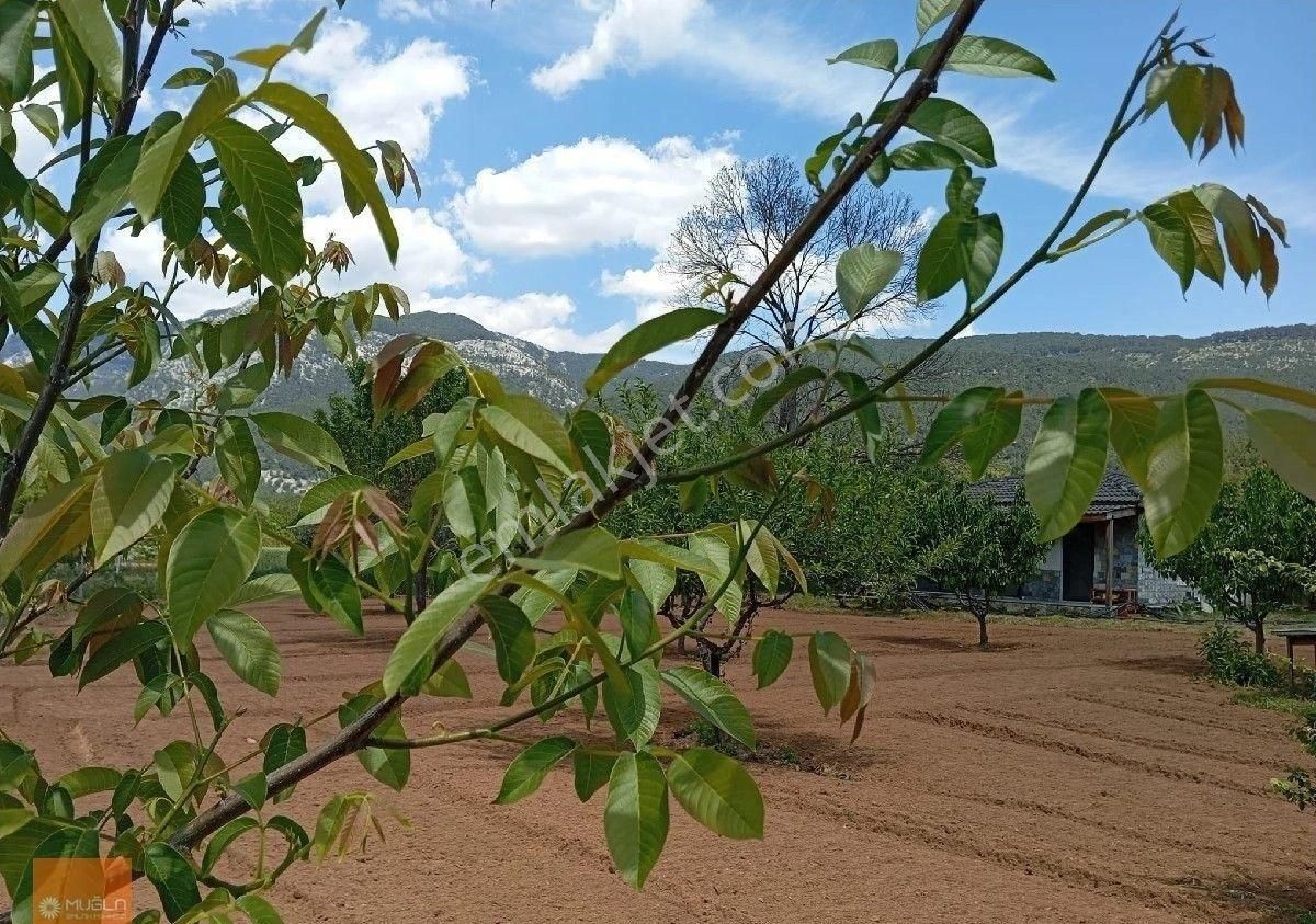 Yaraş Satılık Ev Ve Arazi - Görsel 28