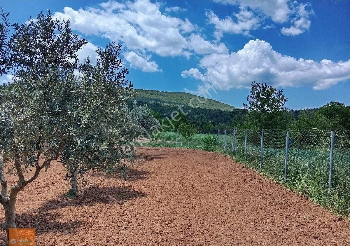 Yaraş Satılık Ev Ve Arazi - Görsel 16