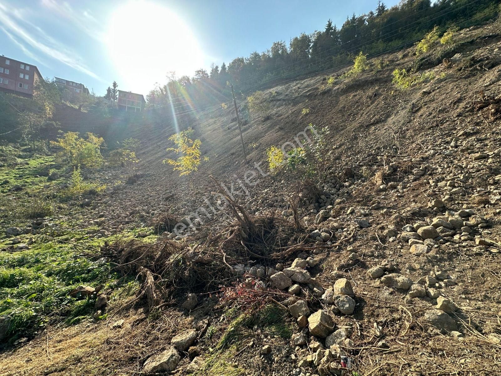 Trabzon Maçka Günay Mahallesinde Satılık Arazi - Görsel 21