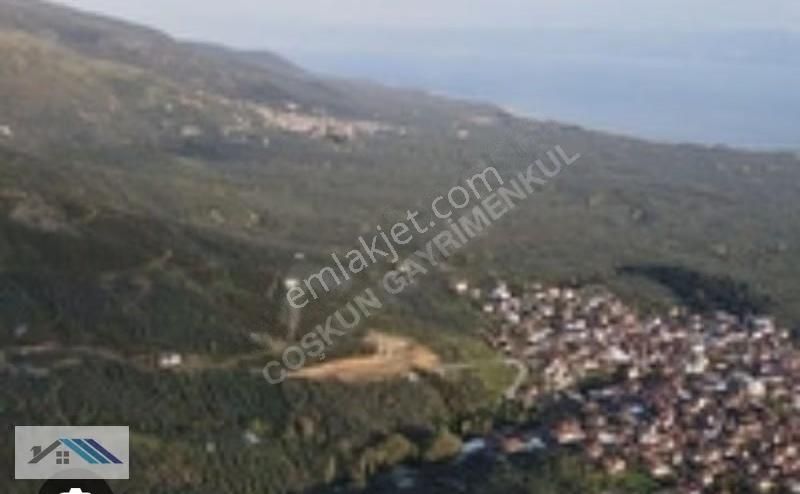 Bursa /orhangazi/çakırlı Satılık Tarla - Görsel 2