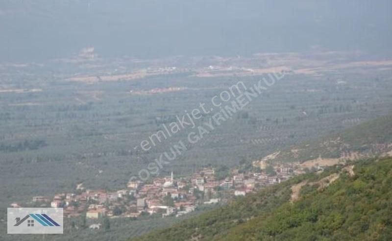 Bursa /orhangazi/çakırlı Satılık Tarla - Görsel 7