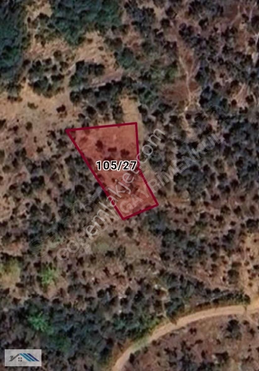 Bursa /orhangazi/çakırlı Satılık Tarla