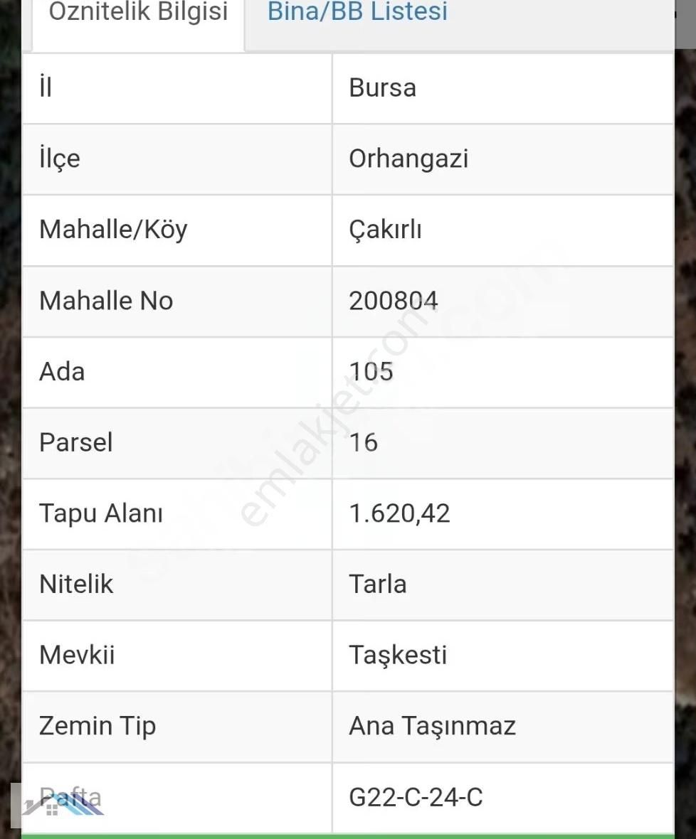 Orhangazi Çakırlı Satılık Tarla - Görsel 2
