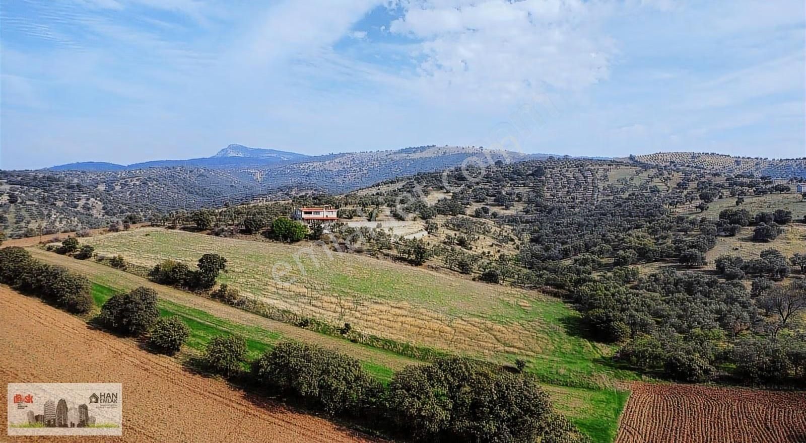 Ayvacık Kösedere Köyünde 18240 M2 Kapanmaz Deniz Manzaralı Tarla - Görsel 6