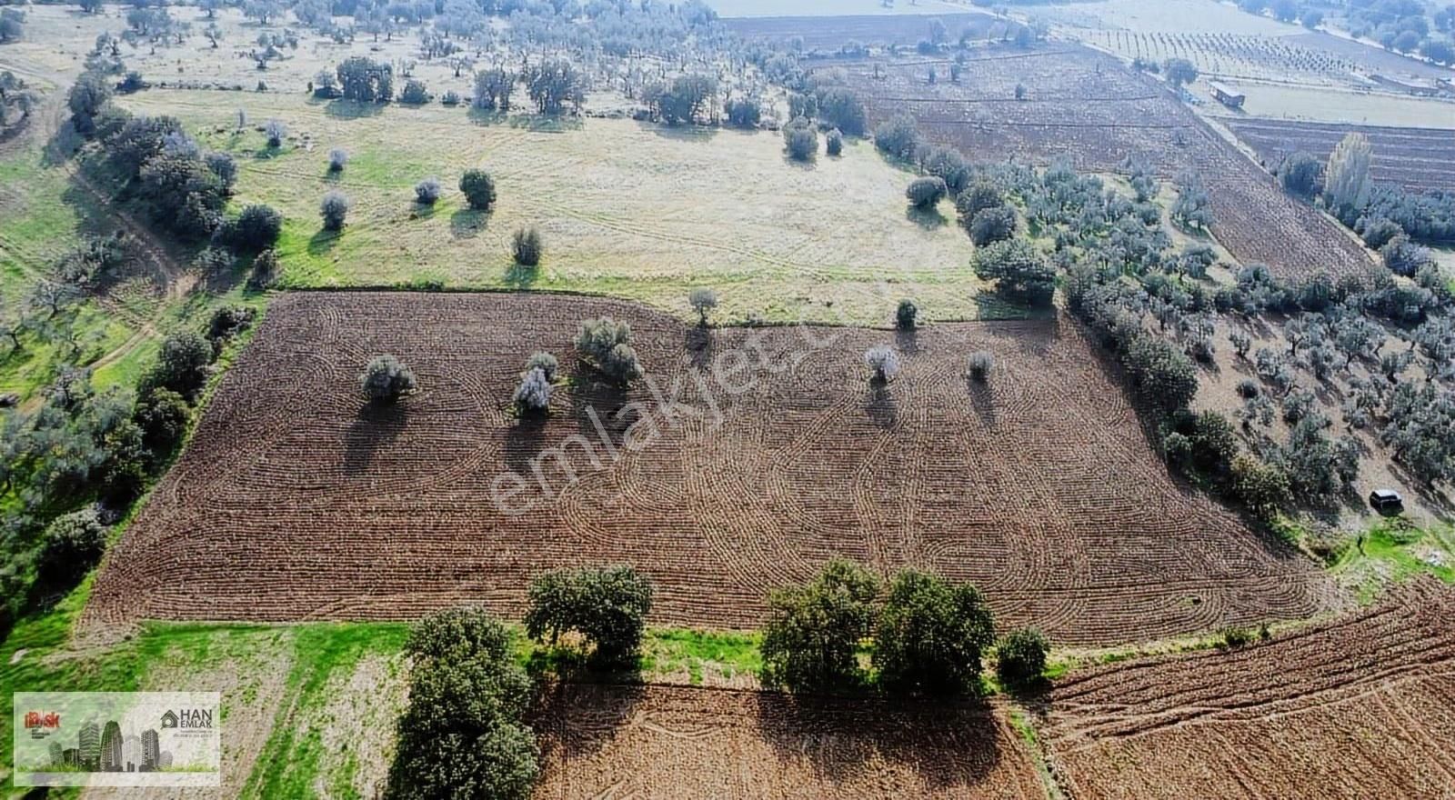 Ayvacık Kösedere Köyünde 18240 M2 Kapanmaz Deniz Manzaralı Tarla - Görsel 13