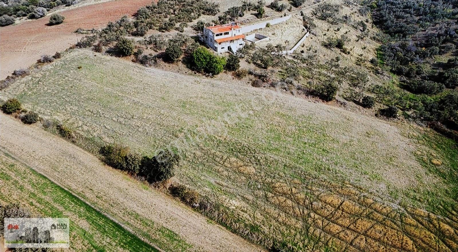 Ayvacık Kösedere Köyünde 18240 M2 Kapanmaz Deniz Manzaralı Tarla - Görsel 10