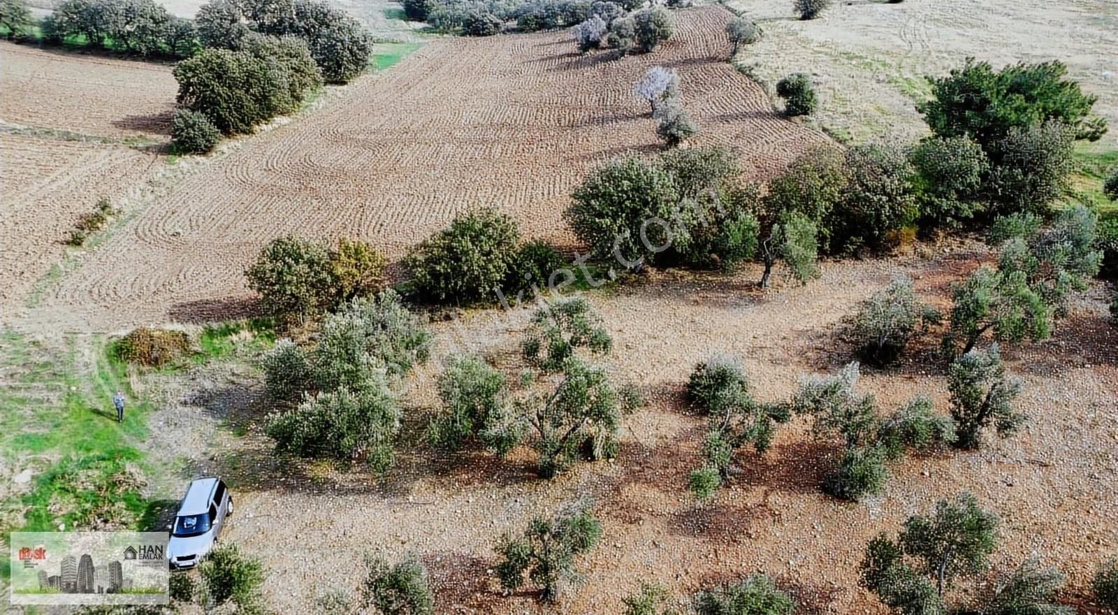 Ayvacık Kösedere Köyünde 18240 M2 Kapanmaz Deniz Manzaralı Tarla - Görsel 19