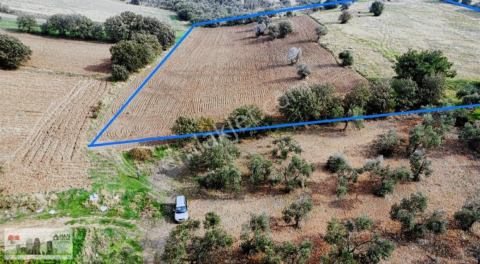 Ayvacık Kösedere Köyünde 18240 M2 Kapanmaz Deniz Manzaralı Tarla - Görsel 21