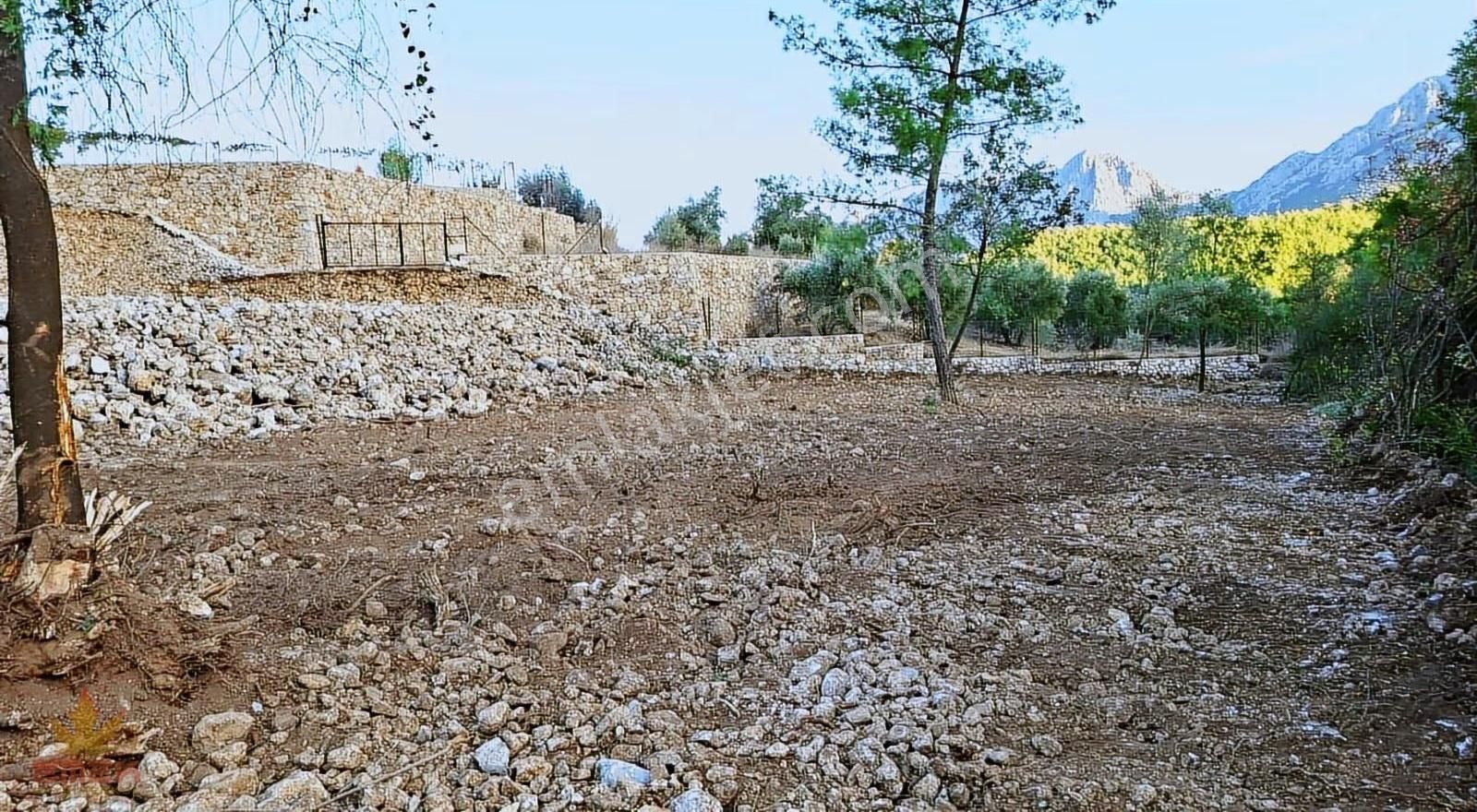 Konyaaltı Akdamlarda Emsalsiz Arazi - Görsel 2