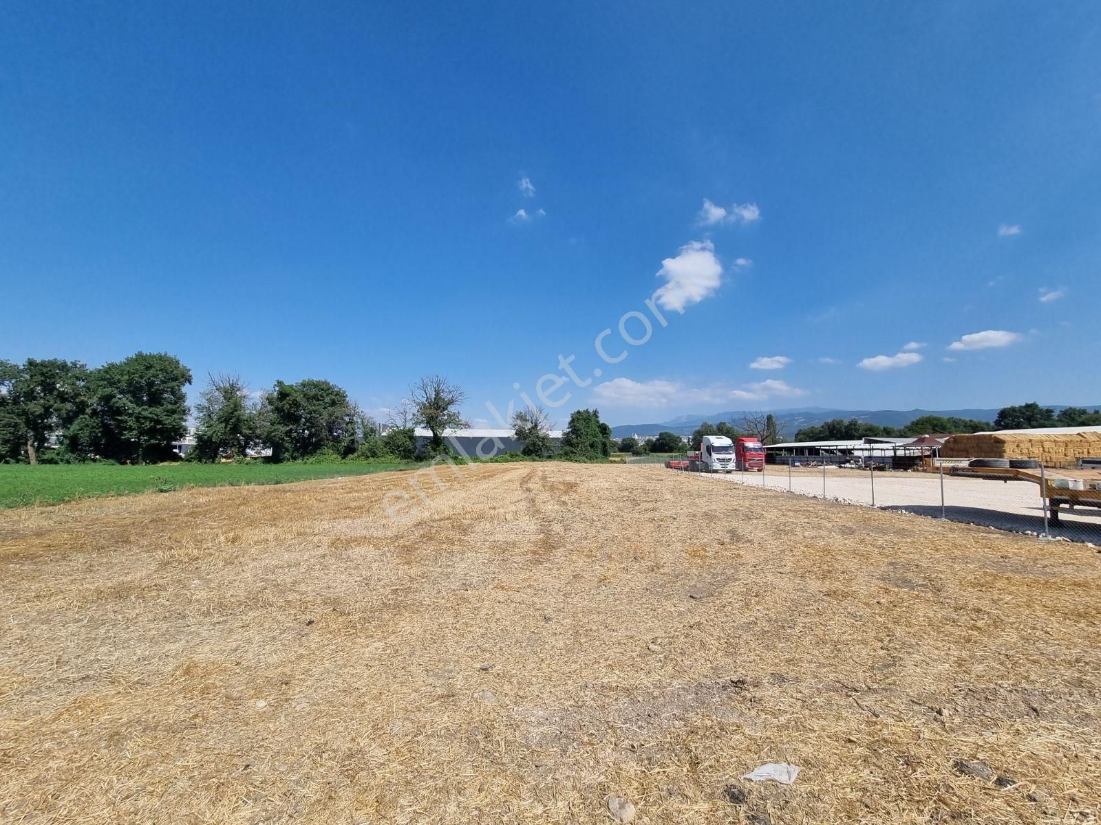 Bursa Nilüfer Alaaddinbey'de Yola Cephe Kiralık Tarla - Görsel 3