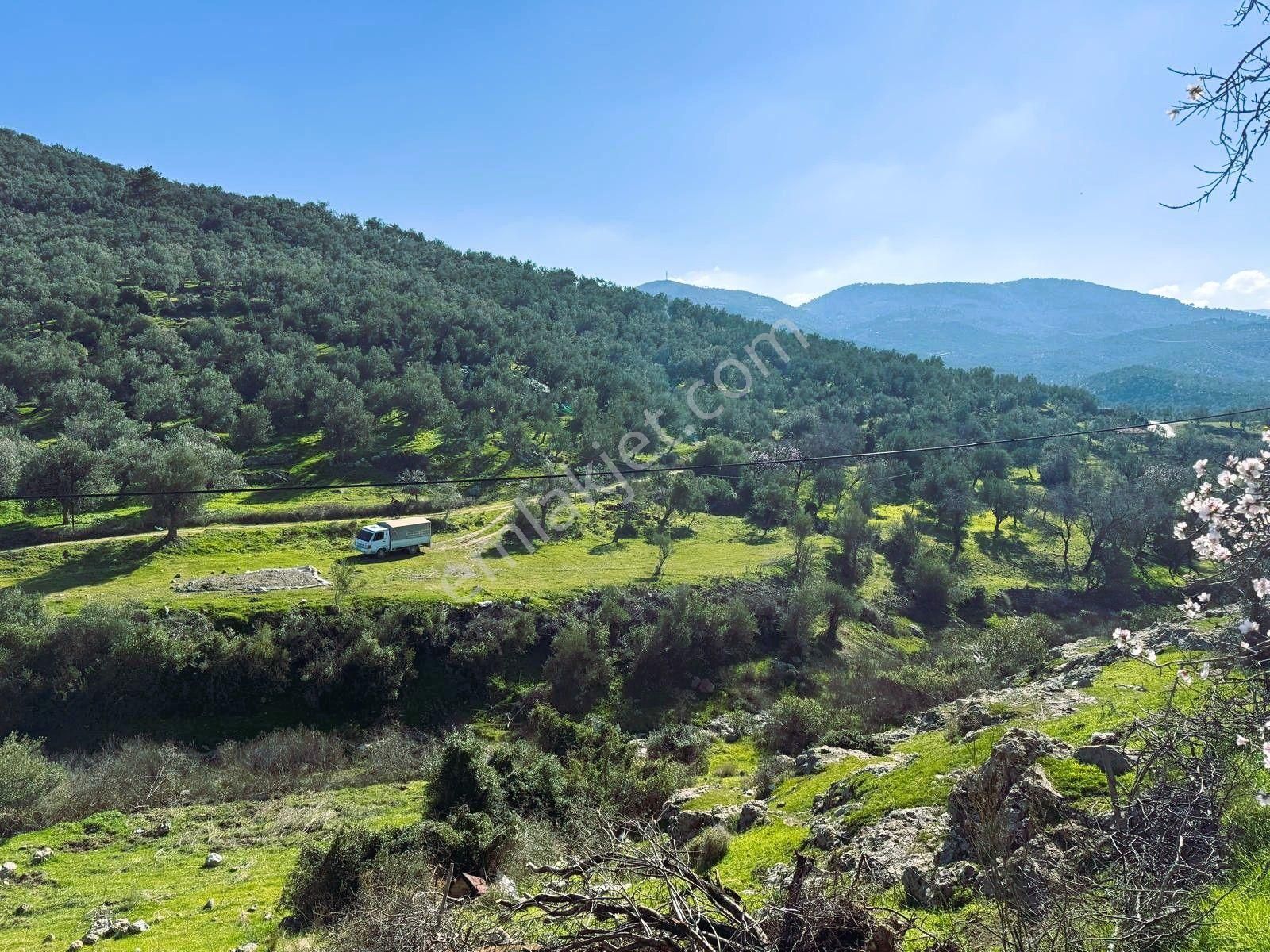 Burhaniye Bahadınlı 450 M2 Arsa İçinde Satılık Müstakil Köy Evi - Görsel 18