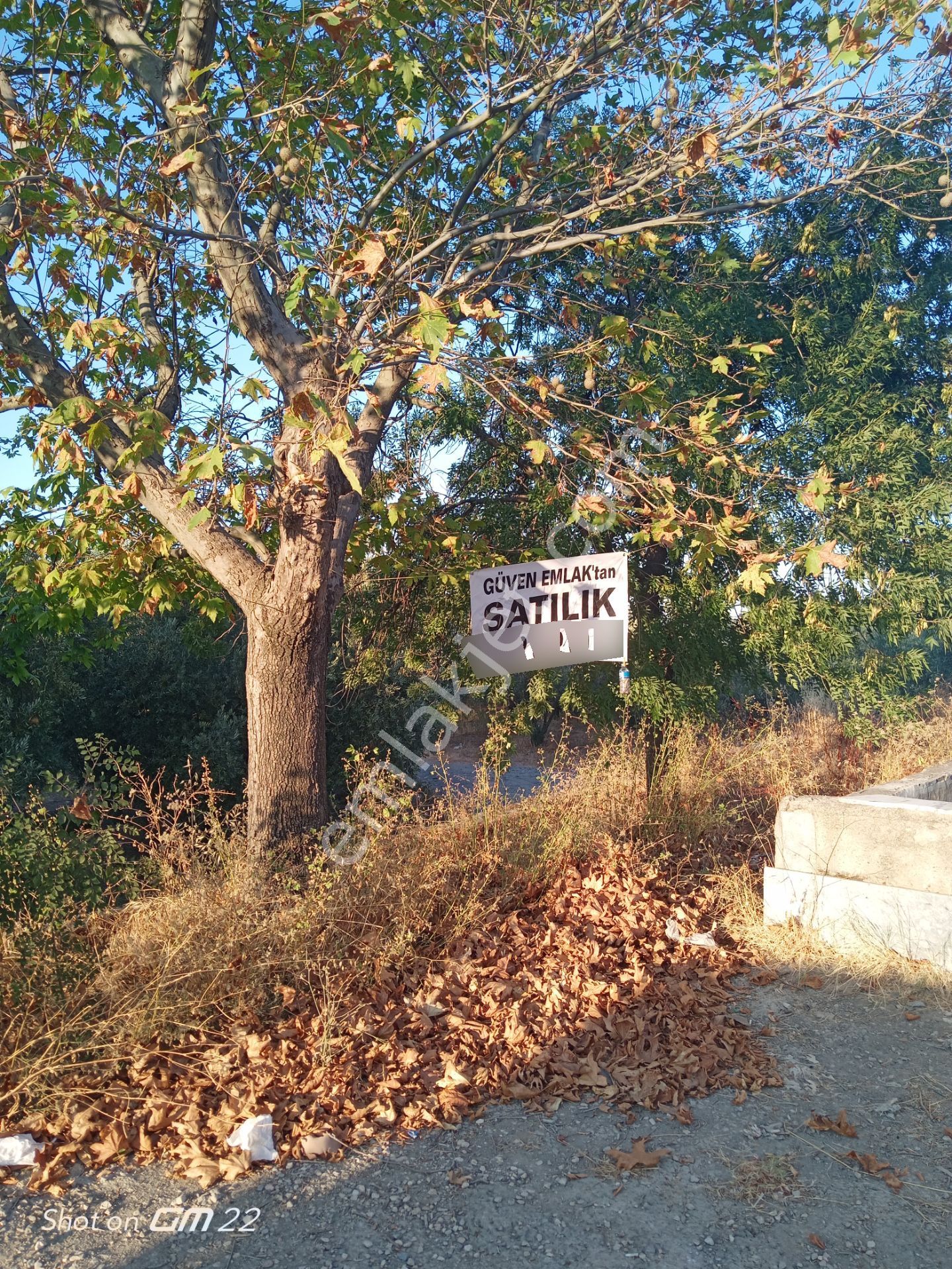 Mudanya Zeytinbağı Talatbey De , Yola Cephe Zeytinlik - Görsel 3
