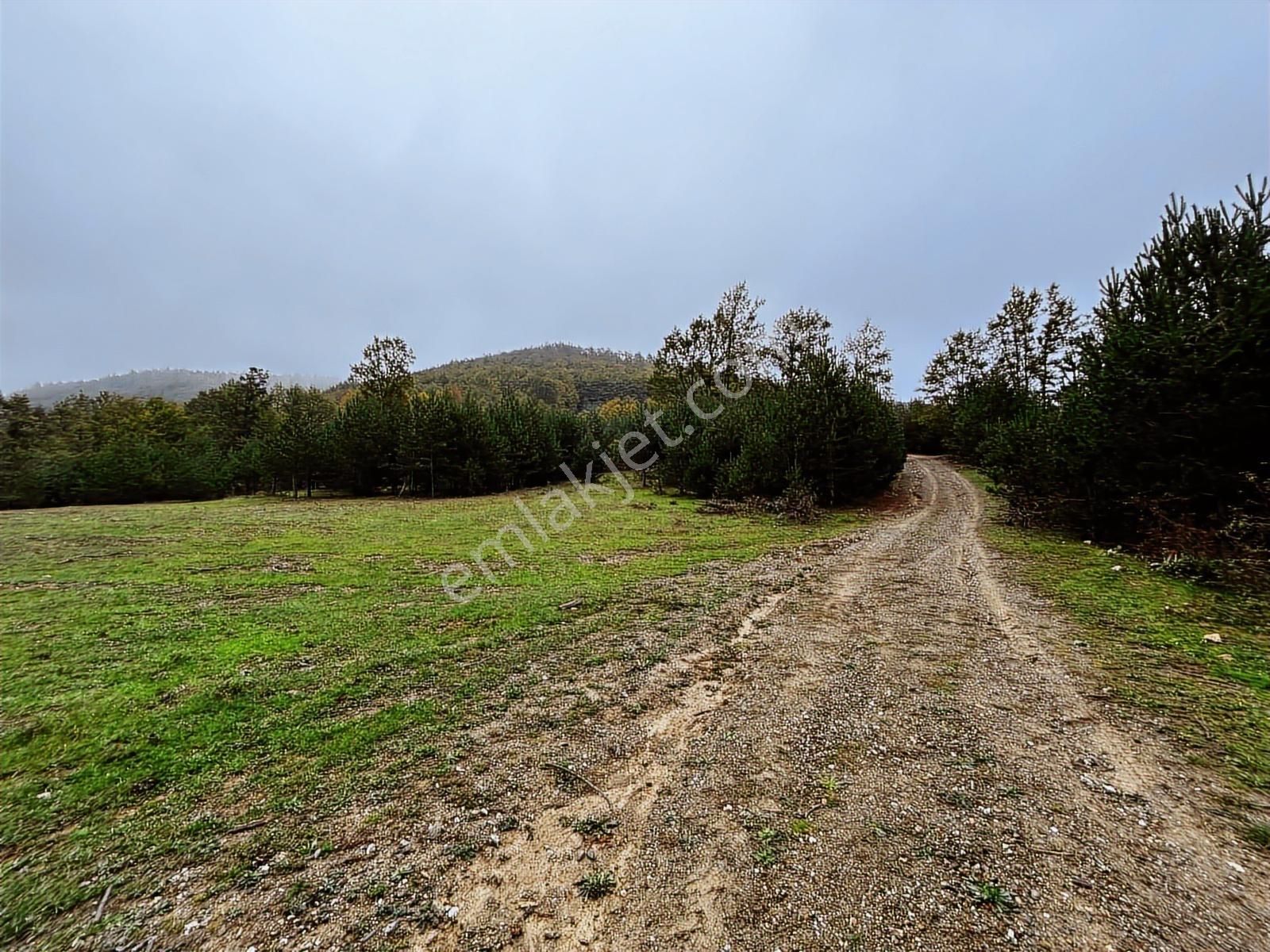 C21 Cius; İznik Elmalıda Bungalov İçin Uygun Satılık Tarla - Görsel 2